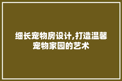 细长宠物房设计,打造温馨宠物家园的艺术