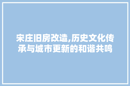 宋庄旧房改造,历史文化传承与城市更新的和谐共鸣 建筑设计