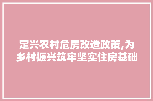 定兴农村危房改造政策,为乡村振兴筑牢坚实住房基础