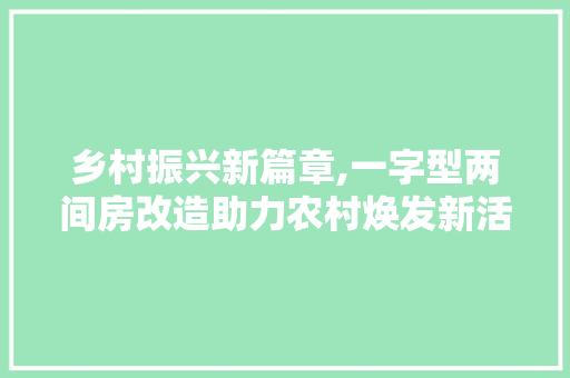 乡村振兴新篇章,一字型两间房改造助力农村焕发新活力 景观设计
