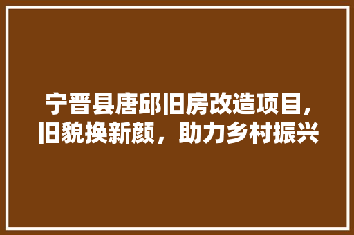 宁晋县唐邱旧房改造项目,旧貌换新颜，助力乡村振兴 庭院装修
