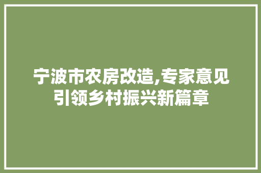 宁波市农房改造,专家意见引领乡村振兴新篇章