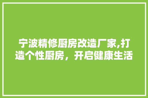 宁波精修厨房改造厂家,打造个性厨房，开启健康生活新篇章