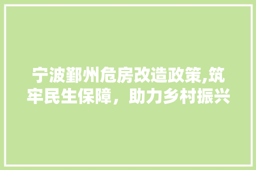 宁波鄞州危房改造政策,筑牢民生保障，助力乡村振兴