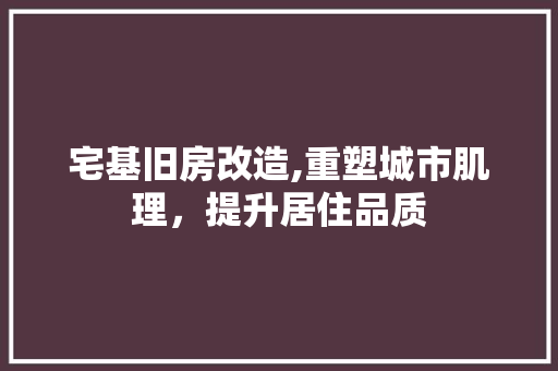 宅基旧房改造,重塑城市肌理，提升居住品质