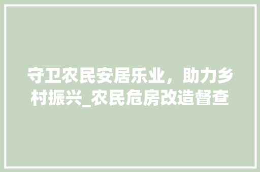 守卫农民安居乐业，助力乡村振兴_农民危房改造督查纪实