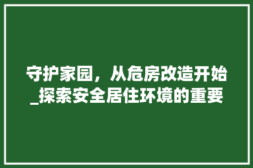 守护家园，从危房改造开始_探索安全居住环境的重要性 装修材料