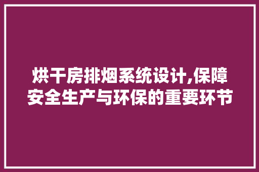 烘干房排烟系统设计,保障安全生产与环保的重要环节