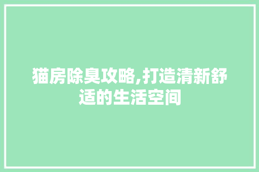 猫房除臭攻略,打造清新舒适的生活空间
