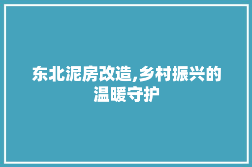 东北泥房改造,乡村振兴的温暖守护