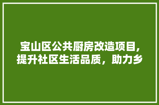 宝山区公共厨房改造项目,提升社区生活品质，助力乡村振兴