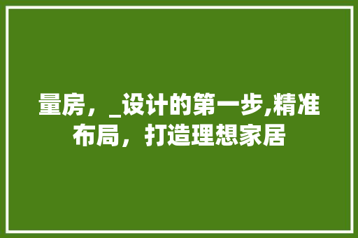 量房，_设计的第一步,精准布局，打造理想家居