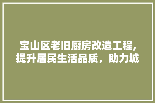 宝山区老旧厨房改造工程,提升居民生活品质，助力城市绿色发展