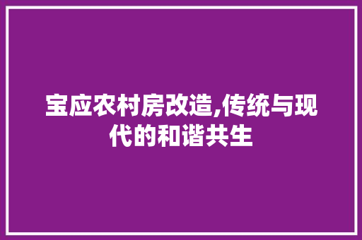 宝应农村房改造,传统与现代的和谐共生 景观设计