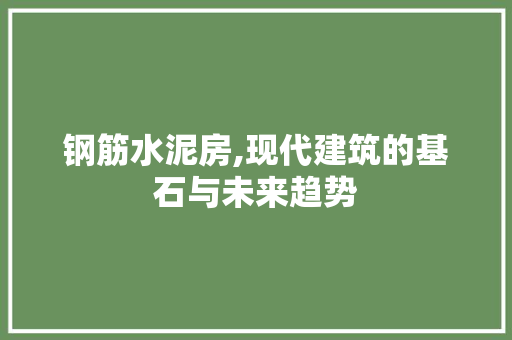 钢筋水泥房,现代建筑的基石与未来趋势 墙面装饰