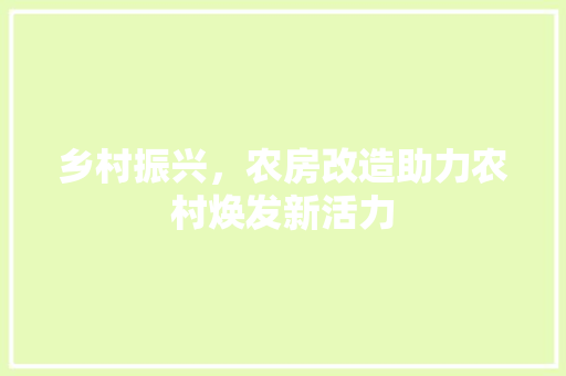 乡村振兴，农房改造助力农村焕发新活力 装修攻略