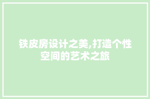 铁皮房设计之美,打造个性空间的艺术之旅
