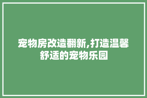 宠物房改造翻新,打造温馨舒适的宠物乐园