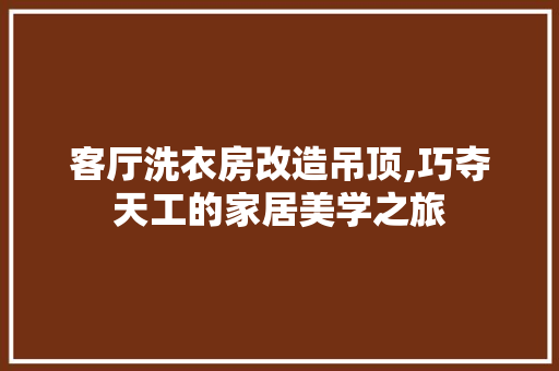 客厅洗衣房改造吊顶,巧夺天工的家居美学之旅