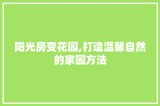 阳光房变花园,打造温馨自然的家园方法