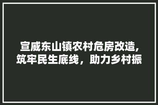 宣威东山镇农村危房改造,筑牢民生底线，助力乡村振兴
