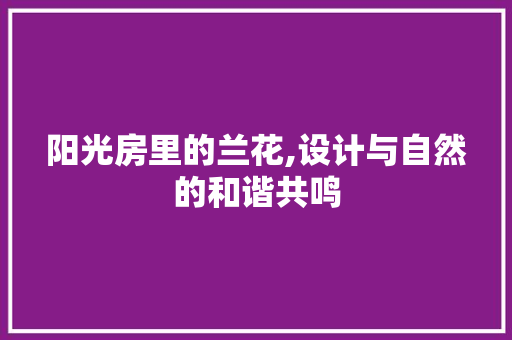 阳光房里的兰花,设计与自然的和谐共鸣
