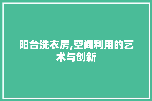 阳台洗衣房,空间利用的艺术与创新
