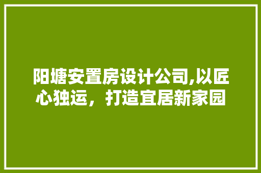 阳塘安置房设计公司,以匠心独运，打造宜居新家园 装修材料