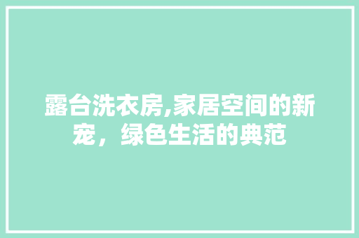 露台洗衣房,家居空间的新宠，绿色生活的典范