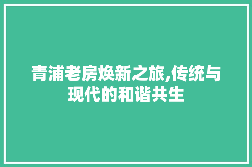青浦老房焕新之旅,传统与现代的和谐共生 门窗装修