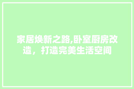 家居焕新之路,卧室厨房改造，打造完美生活空间