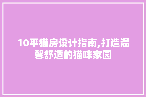 10平猫房设计指南,打造温馨舒适的猫咪家园 地面装修