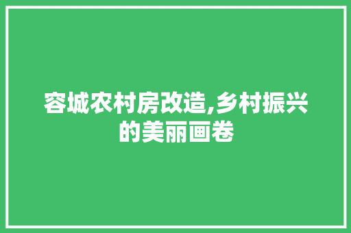 容城农村房改造,乡村振兴的美丽画卷