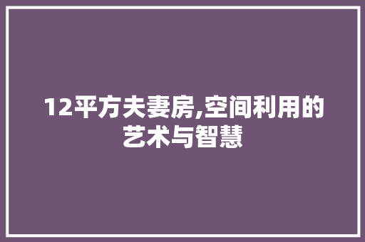 12平方夫妻房,空间利用的艺术与智慧