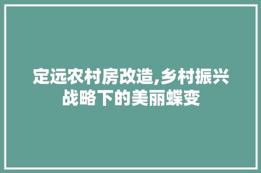 定远农村房改造,乡村振兴战略下的美丽蝶变
