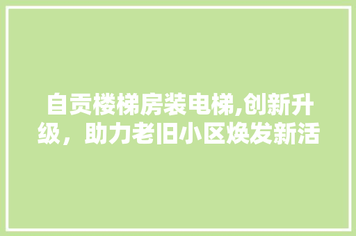自贡楼梯房装电梯,创新升级，助力老旧小区焕发新活力
