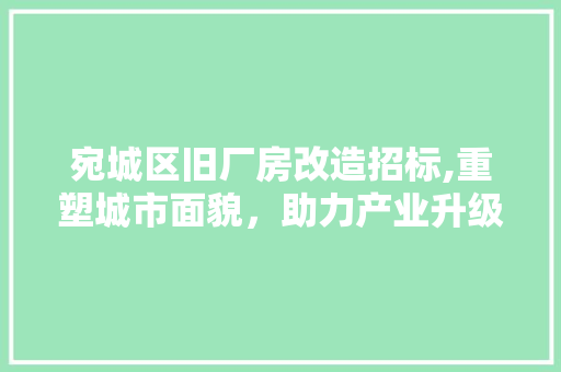 宛城区旧厂房改造招标,重塑城市面貌,助力产业升级 装修攻略 宛城区旧厂房改造招标,重塑城市面貌,助力产业升级 装修攻略