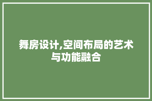 舞房设计,空间布局的艺术与功能融合