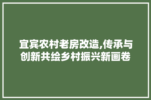 宜宾农村老房改造,传承与创新共绘乡村振兴新画卷