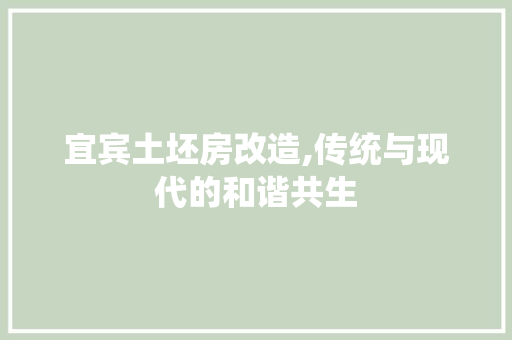 宜宾土坯房改造,传统与现代的和谐共生