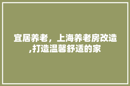 宜居养老，上海养老房改造,打造温馨舒适的家