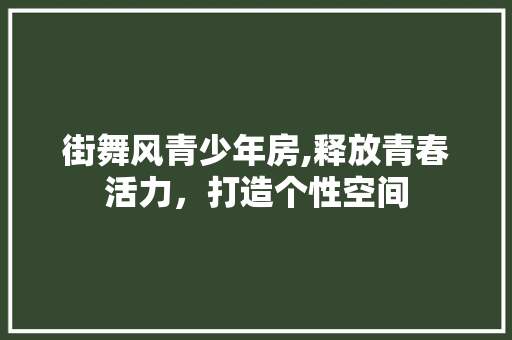 街舞风青少年房,释放青春活力，打造个性空间