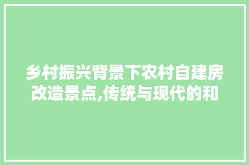 乡村振兴背景下农村自建房改造景点,传统与现代的和谐共生