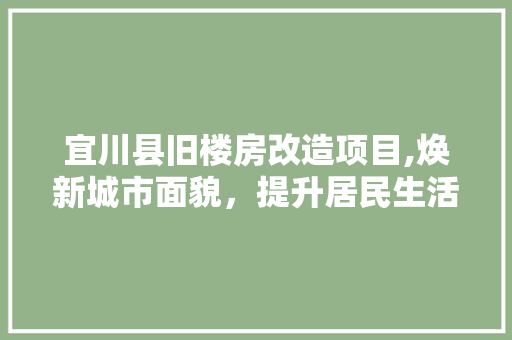 宜川县旧楼房改造项目,焕新城市面貌，提升居民生活品质