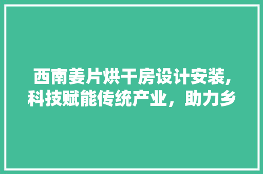 西南姜片烘干房设计安装,科技赋能传统产业，助力乡村振兴 地面装修