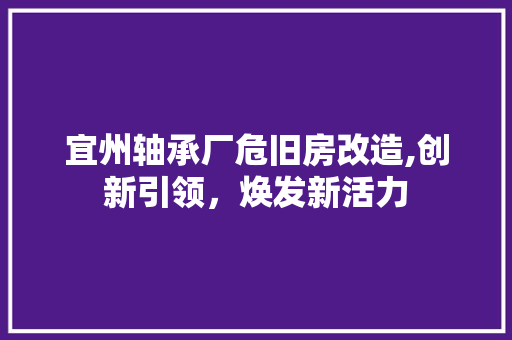 宜州轴承厂危旧房改造,创新引领，焕发新活力 隔断设计