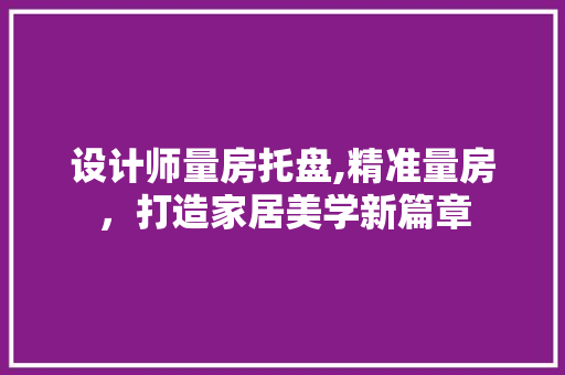 设计师量房托盘,精准量房，打造家居美学新篇章