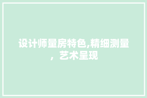 设计师量房特色,精细测量，艺术呈现