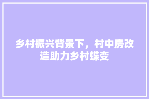 乡村振兴背景下，村中房改造助力乡村蝶变 景观设计