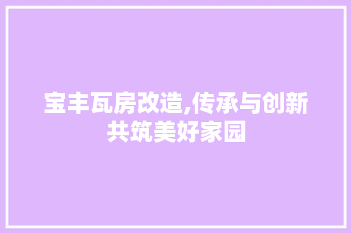 宝丰瓦房改造,传承与创新共筑美好家园